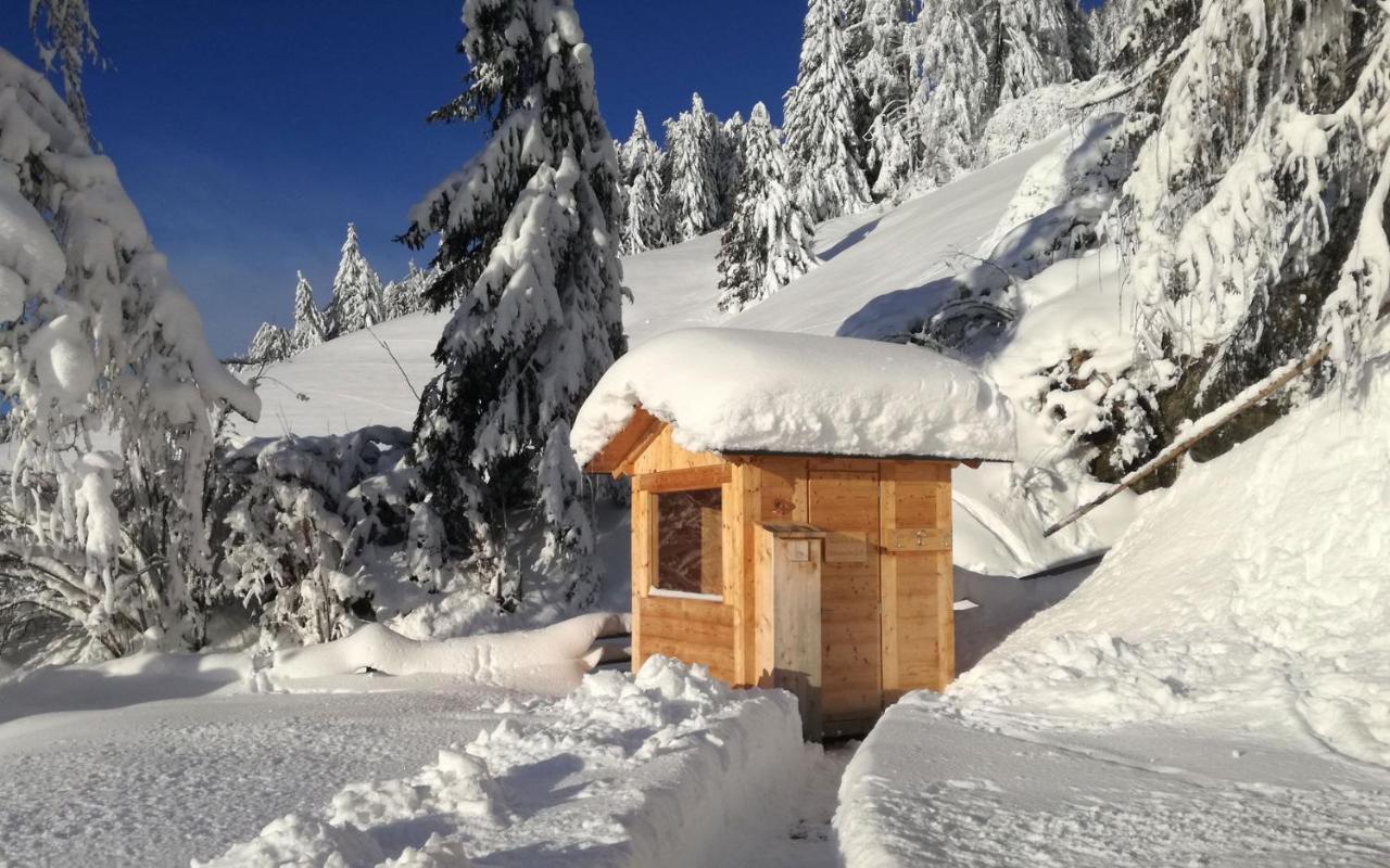Chalet Panorama Himmelreichhof Σαν Κάντιντο Εξωτερικό φωτογραφία